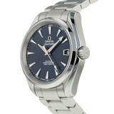 Pre-Owned Omega Seamaster Aqua Terra Mens Watch 231.10.39.21.03.001