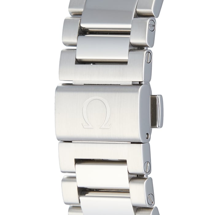 Pre-Owned Omega Seamaster Aqua Terra Mens Watch 231.10.42.21.03.003