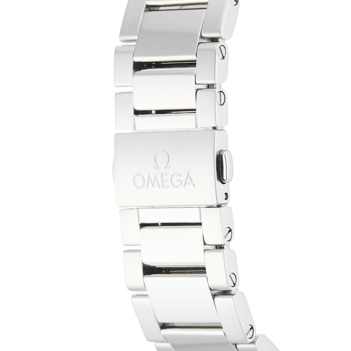 Pre-Owned Omega Seamaster Aqua Terra Mens Watch 220.10.41.21.06.001