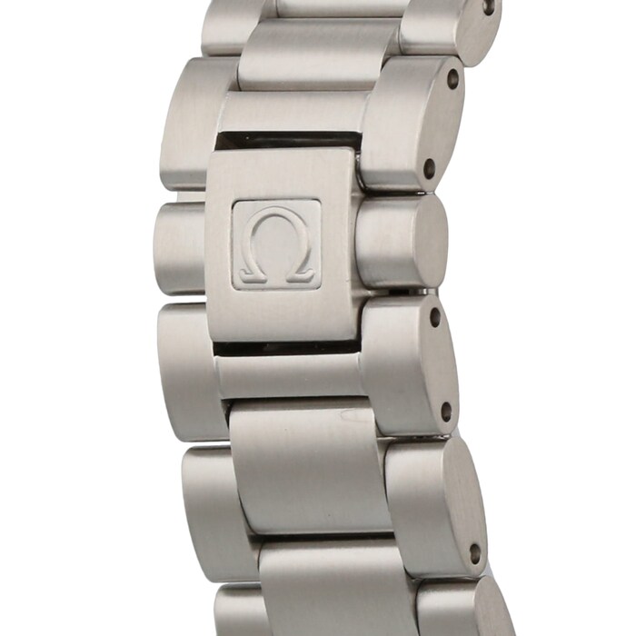 Pre-Owned Omega Seamaster Aqua Terra Mens Watch 2503.80.00