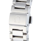Pre-Owned Omega Seamaster Aqua Terra Mens Watch 231.10.43.22.01.002