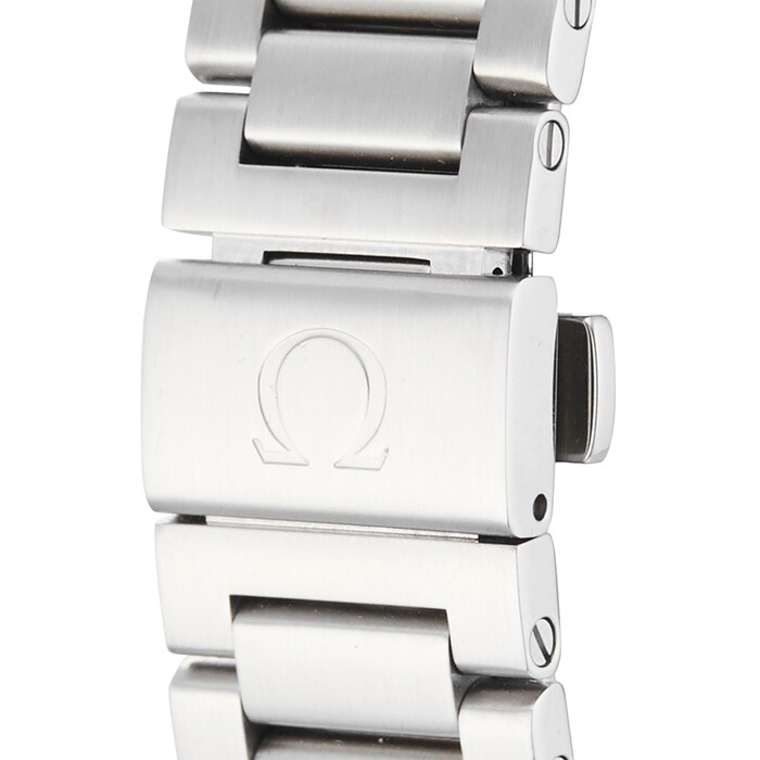 Pre-Owned Omega Seamaster Aqua Terra Mens Watch 231.10.39.61.02.001