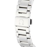 Pre-Owned Omega Seamaster Aqua Terra Mens Watch 231.10.39.60.02.001