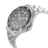 Pre-Owned Omega Seamaster O21230416101001