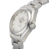 Pre-Owned Omega Seamaster Aqua Terra 150M O23110306055001