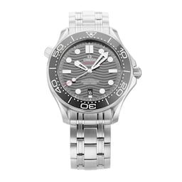 406701982490 - Seamaster Diver 300M 42MM Stainless Steel