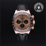 Rolex Rolex Certified Pre-Owned Cosmograph Daytona