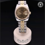 Rolex Rolex Certified Pre-Owned Datejust 36