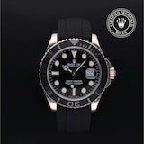 Rolex Rolex Certified Pre-Owned Yacht-Master 42