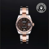 Rolex Rolex Certified Pre-Owned Datejust 31