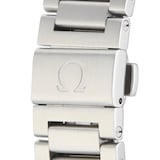 Pre-Owned Omega Aqua Terra Mens Watch 231.10.42.21.06.001