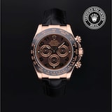 Rolex Rolex Certified Pre-Owned Cosmograph Daytona