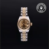 Rolex Rolex Certified Pre-Owned Lady-Datejust 26