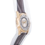Pre-Owned Patek Philippe World Time