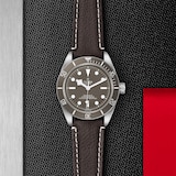 Pre-Owned Tudor Black Bay 58 925 M79010SG-0001