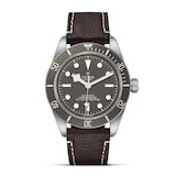 Pre-Owned Tudor Black Bay 58 925 M79010SG-0001