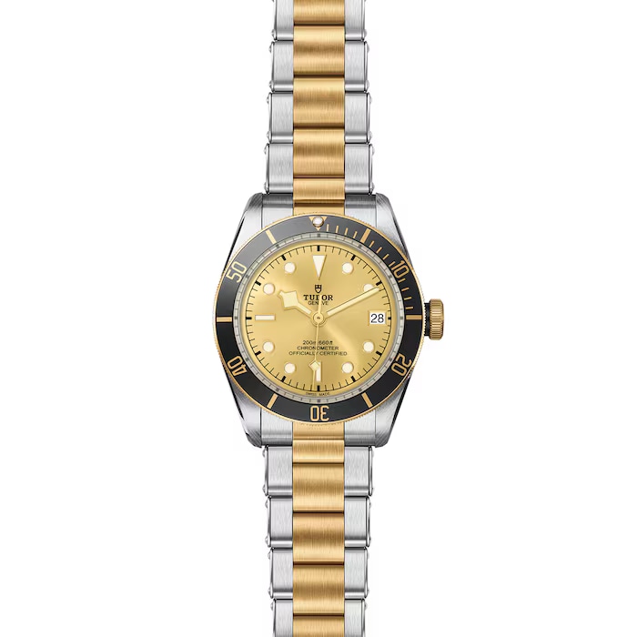 Ex-Display Tudor Black Bay S&G