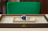 Rolex Datejust 41 Datejust 41