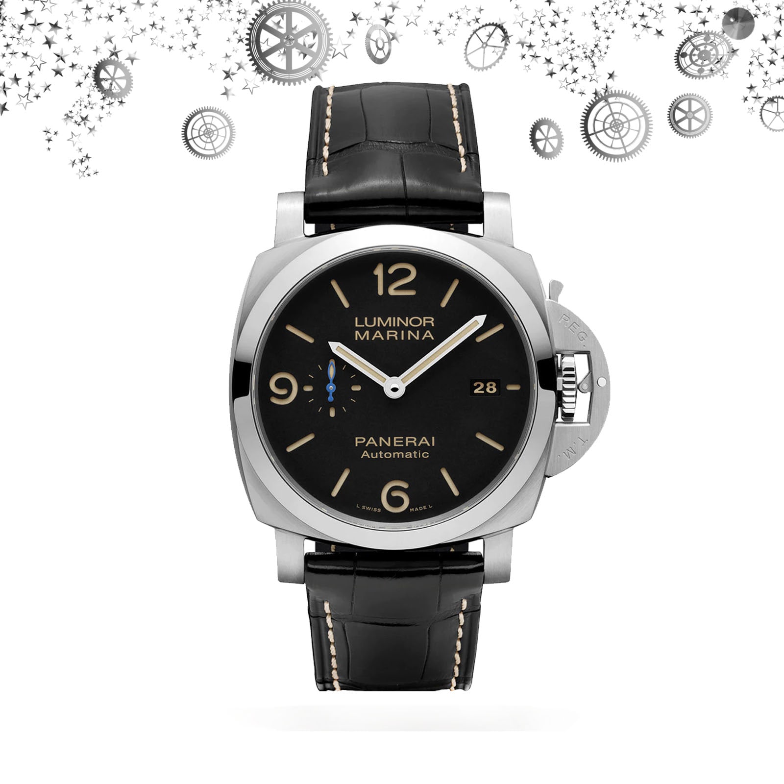 David 2025 gandy watch