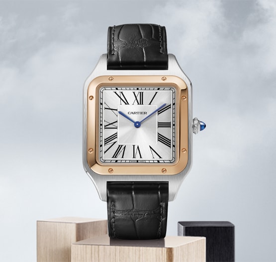 Cartier About Image