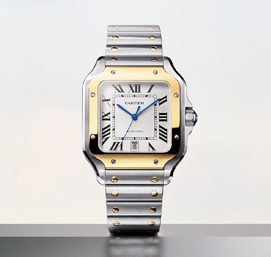 Cartier watch shop price list